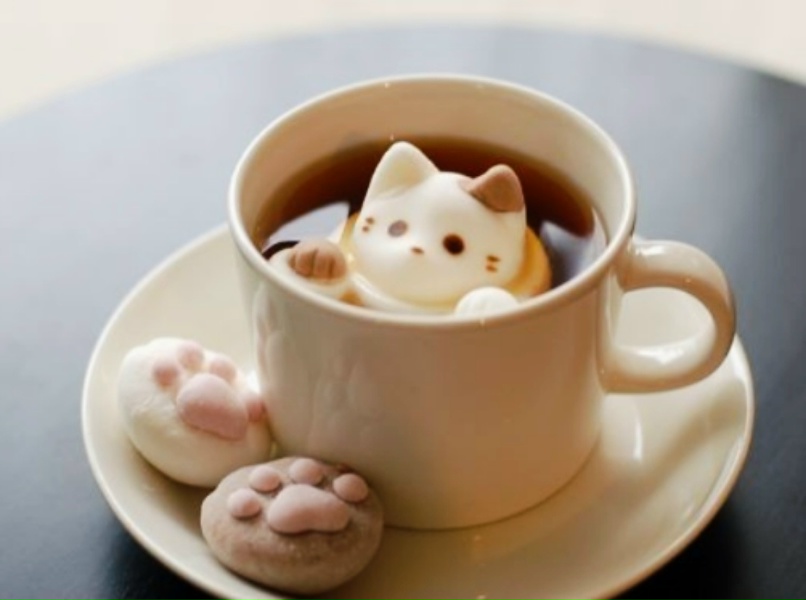 Котик
